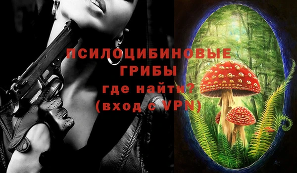 крисы Алексин