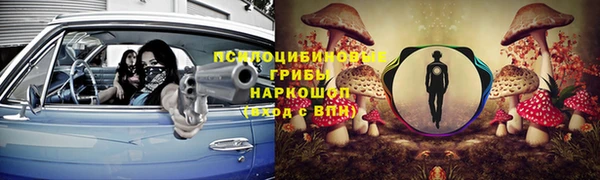 не бодяженный Алзамай